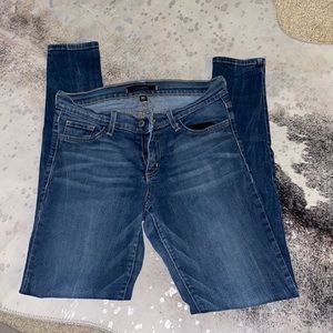 Flying monkey skinny